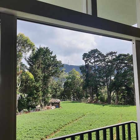 Green Mount View Two Bed Room Apartment Nuwara Eliya Exteriér fotografie