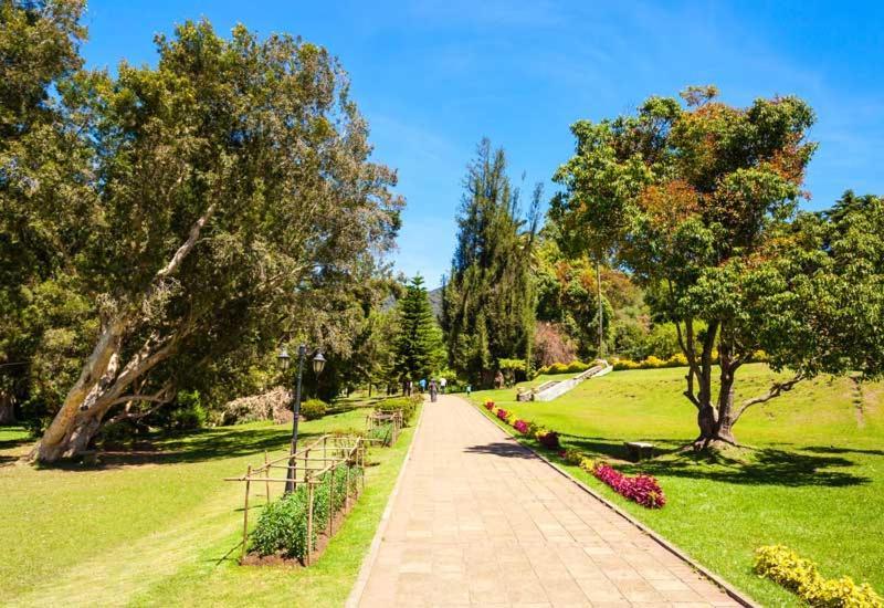 Green Mount View Two Bed Room Apartment Nuwara Eliya Exteriér fotografie